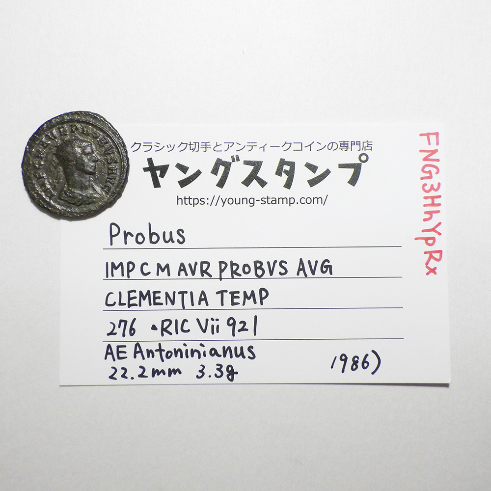 【古代ローマコイン】Probus（プロブス）クリーニング済 ブロンズコイン 銅貨 アントニニアヌス(FNG3HhYpRx)_画像10
