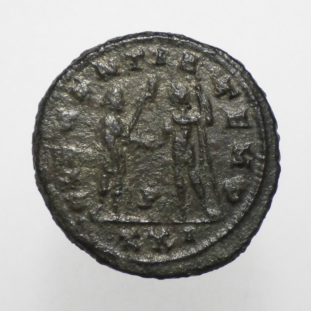 【古代ローマコイン】Probus（プロブス）クリーニング済 ブロンズコイン 銅貨 アントニニアヌス(FNG3HhYpRx)_画像2