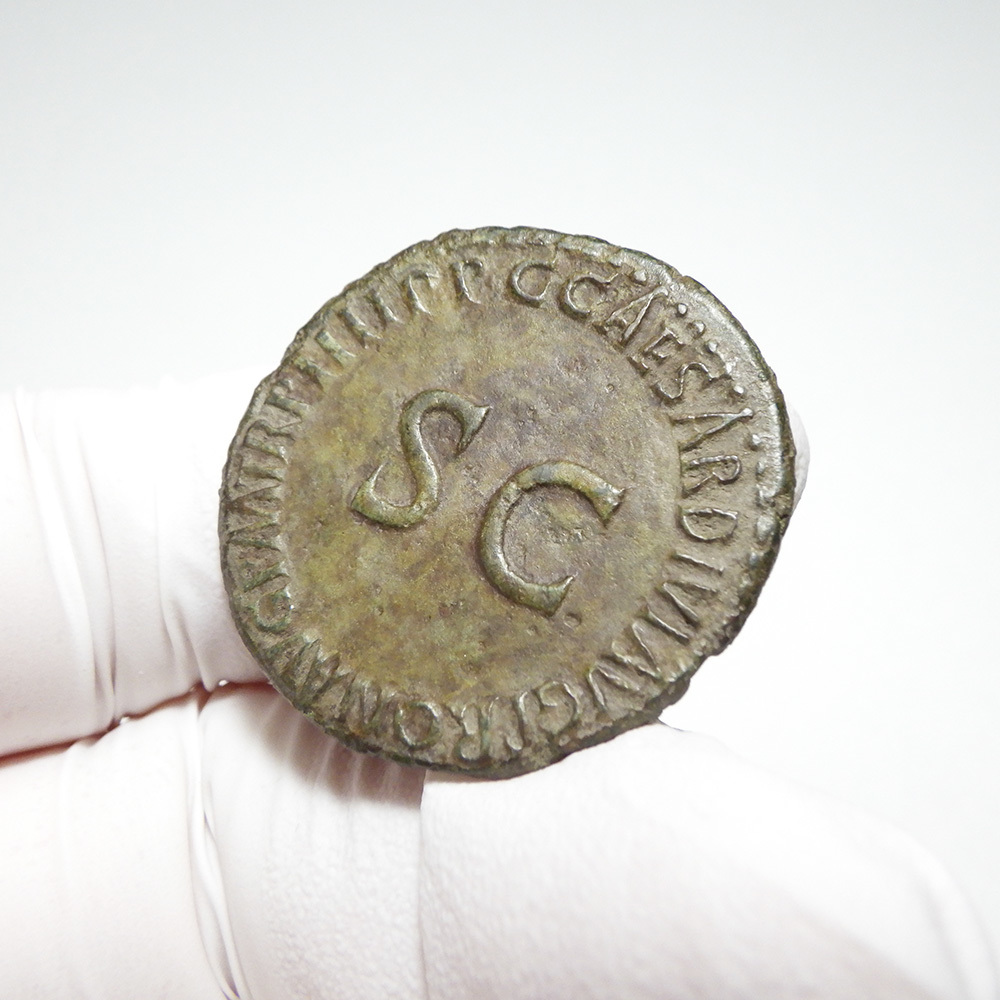 【古代ローマコイン】Germanicus（ゲルマニクス）クリーニング済 ブロンズコイン 銅貨 アス(3hGP2kJ8Fk)_画像6