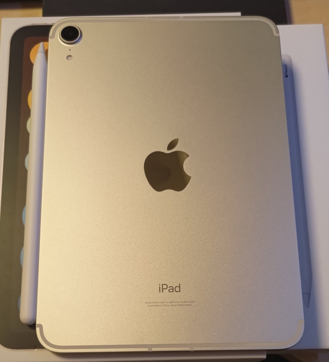 本体＋pencil他】iPad mini6 Wi-Fi ＋ Cellular 256GB スターライト