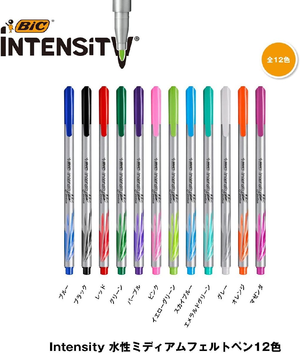 水性ペン フェルトペン 0.8mm 中字 12色 BIC ビック Intensity インテンシティ ITS-FEPMDPK12/1356ｘ１個_画像2