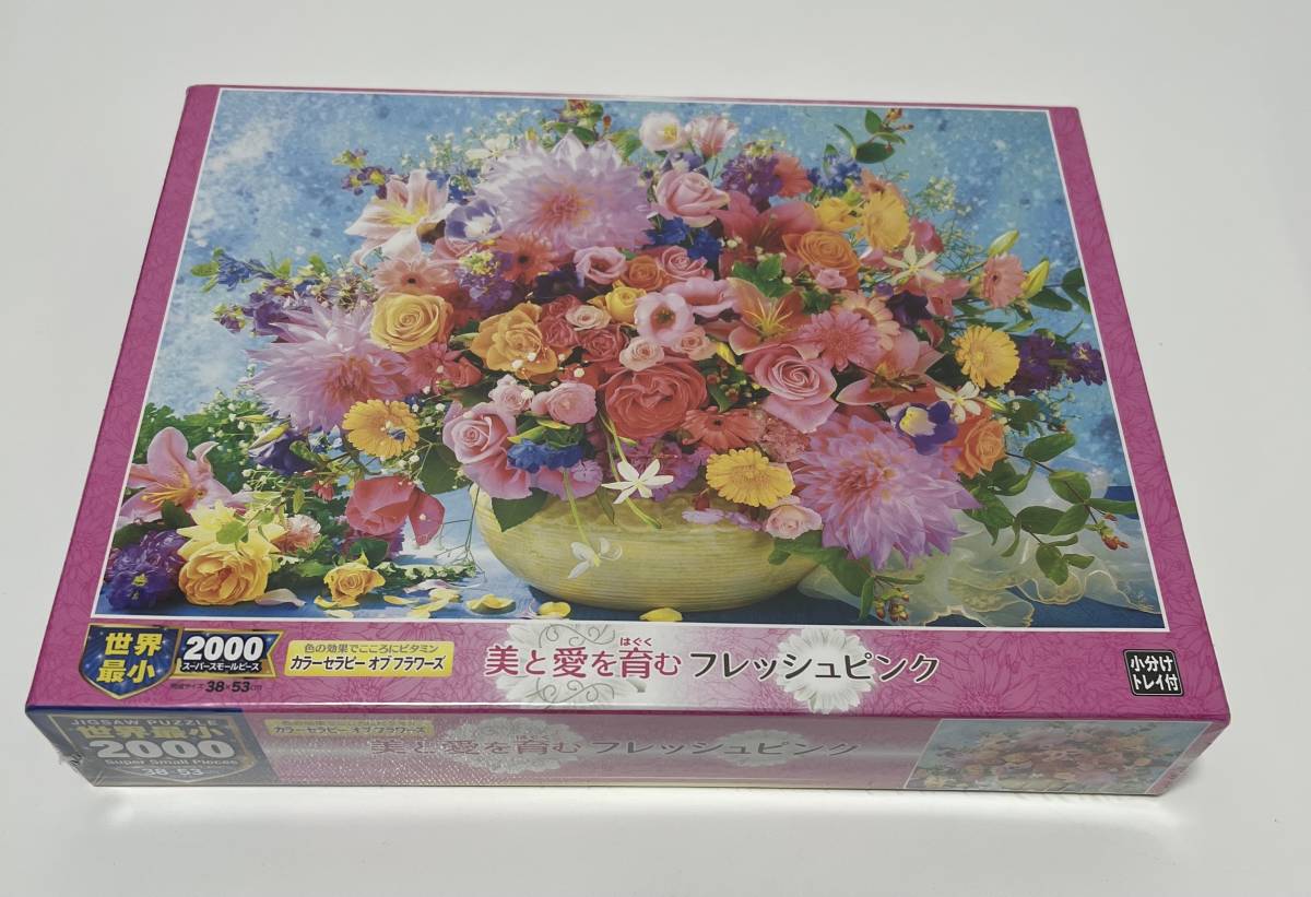 TR 33076 3000ピース ジグソーパズル ポーランド発売 スイス Lauterbrunnen - Szwajcaria - ジグソーパズル TR 33076 3000ピース ジグソーパズル ポーランド発売 スイス Lauterbrunnen - Szwajcaria - ジグソーパズル