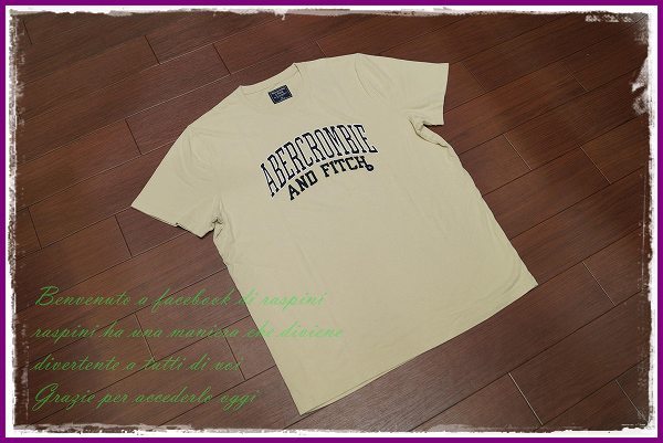 Abercrombie & Fitch 刺繍ロゴ 半袖 Tシャツ/XL/ベージュ/メンズ アバクロンビー&フィッチ アバクロ A&F ll 2l 正規 新品 ビッグサイズ_画像2