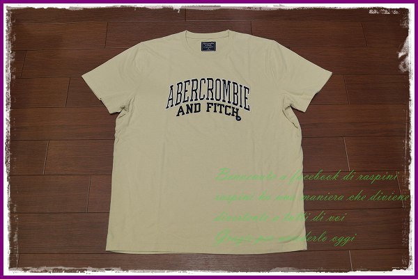 Abercrombie & Fitch 刺繍ロゴ 半袖 Tシャツ/XL/ベージュ/メンズ アバクロンビー&フィッチ アバクロ A&F ll 2l 正規 新品 ビッグサイズ_画像1