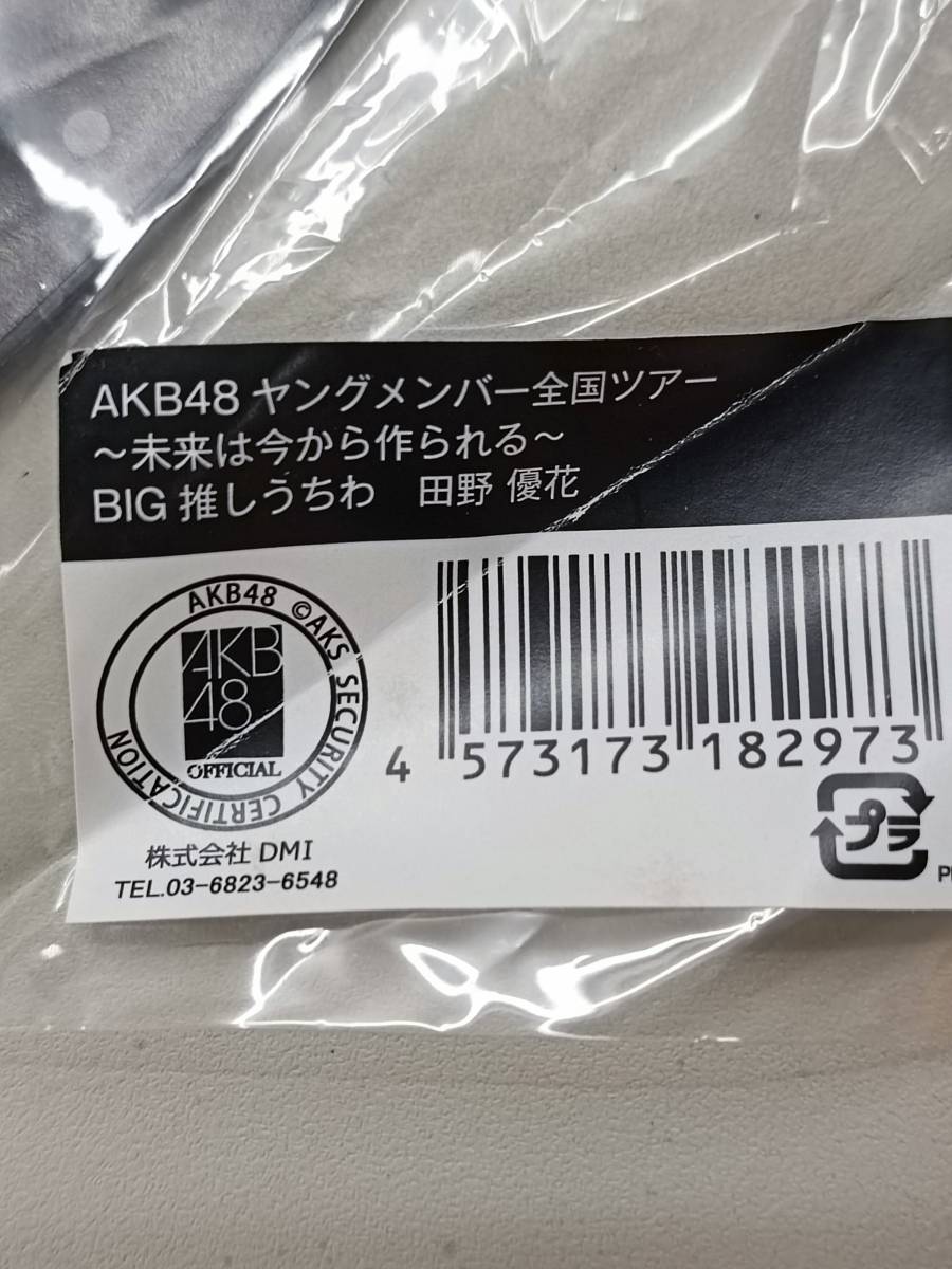 【未開封】 AKB 48 ヤングメンバー全国ツアー ～未来は今から作られる～ BIG 推し うちわ 田野 優花_画像3