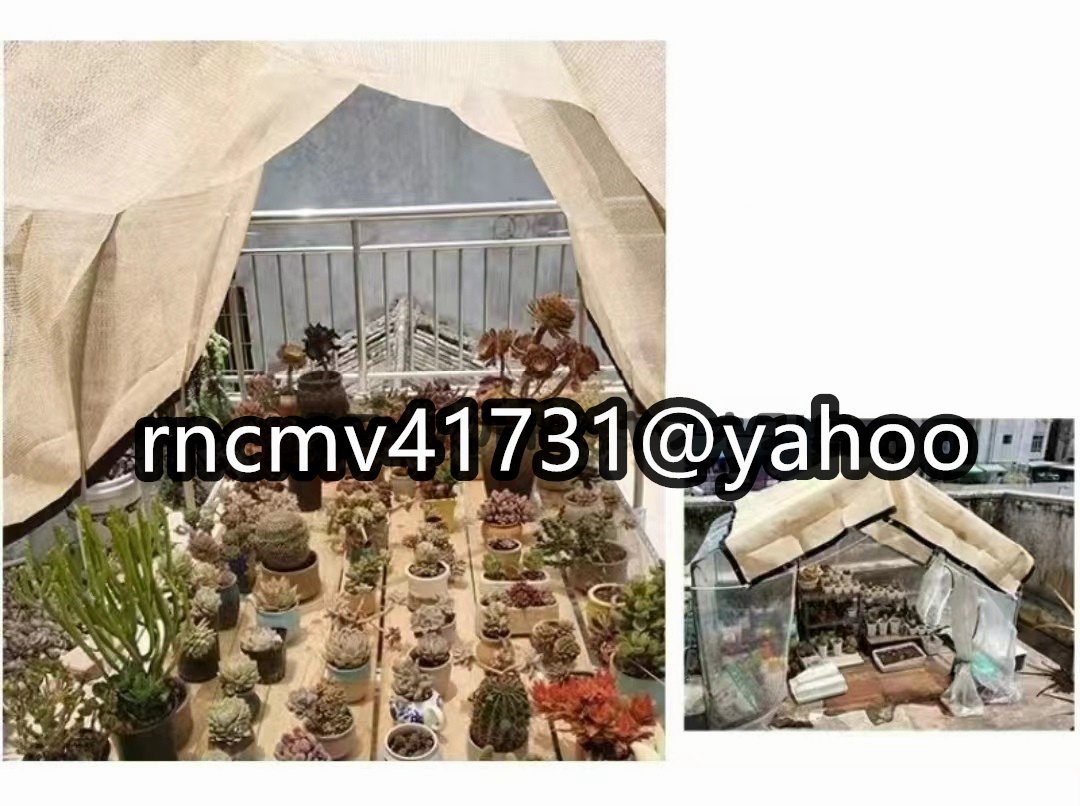 81SHOP」 遮熱ネット 庭 サンシェードネット 耐久性 日よけ 81SHOP」 遮熱ネット 庭 サンシェードネット 耐久性 日よけ