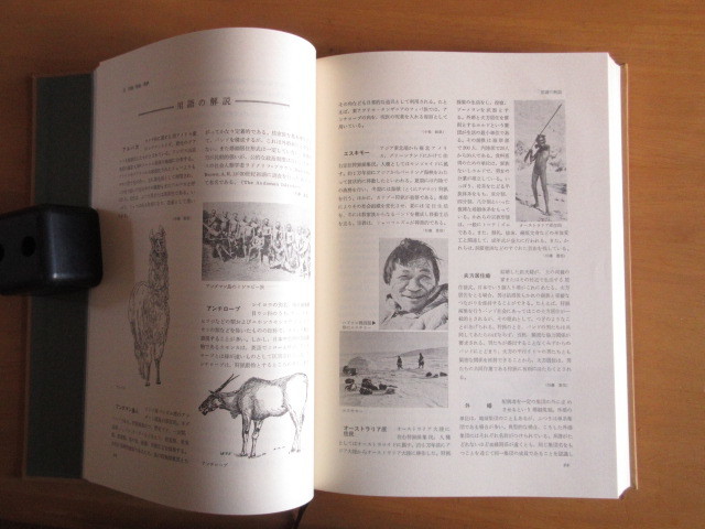 文化人類学辞典  祖父江孝男 米山俊直 野口武徳  ぎょうせい 箱付 昭和52年7月  大型本の画像3