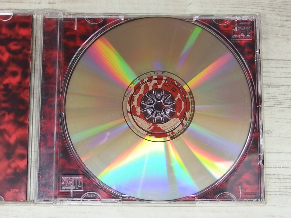 CD / Untouchables By KORN / KORN /『D27』/ 中古_画像5
