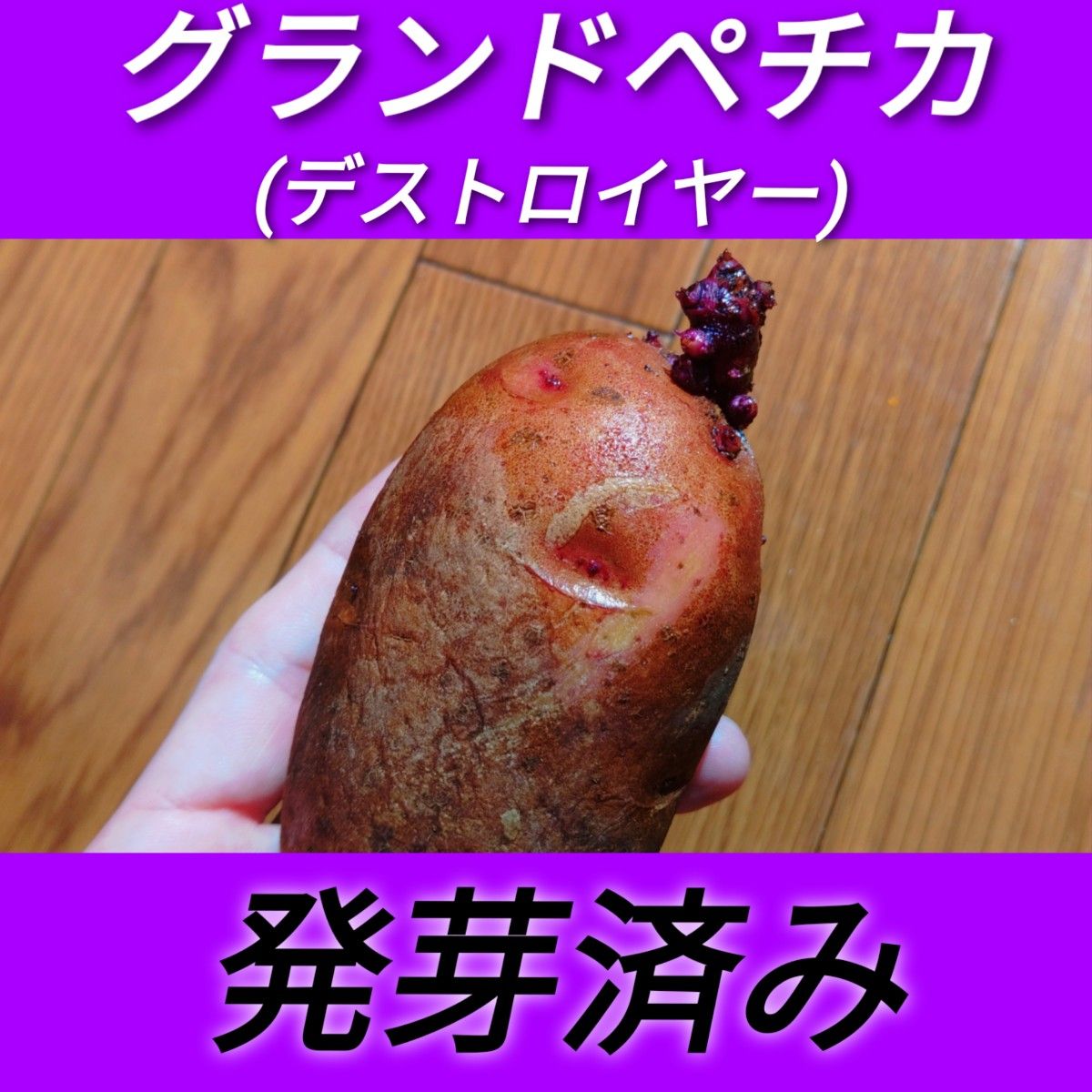 デストロイヤー 1kg 以上 じゃがいも グラウンドペチカ グランド デストロイヤー 1kg 以上 じゃがいも グラウンドペチカ グランド