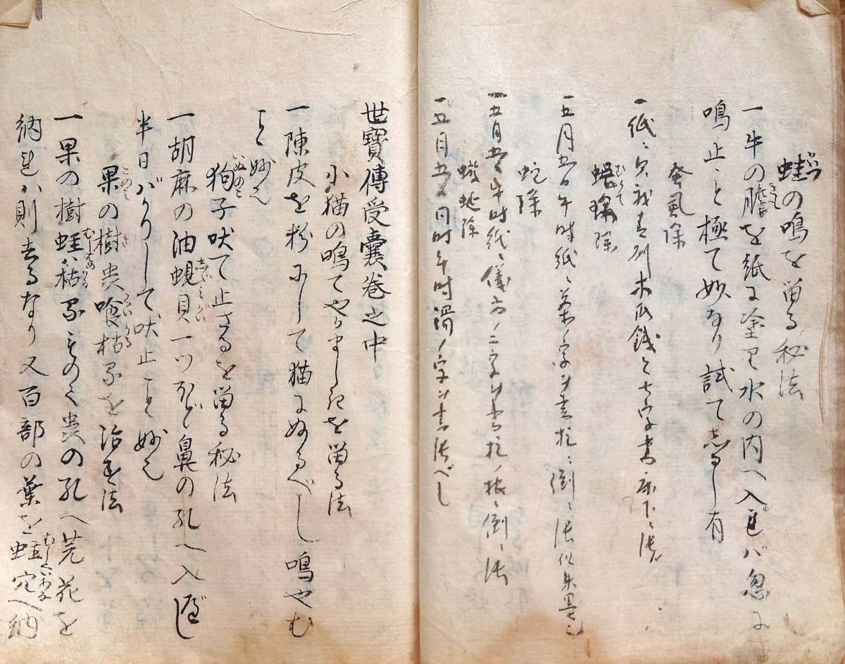 f23081316〇写本 世宝伝授嚢 上中下巻１冊 寛政１２年写(1800年)〇和本古書古文書_画像3