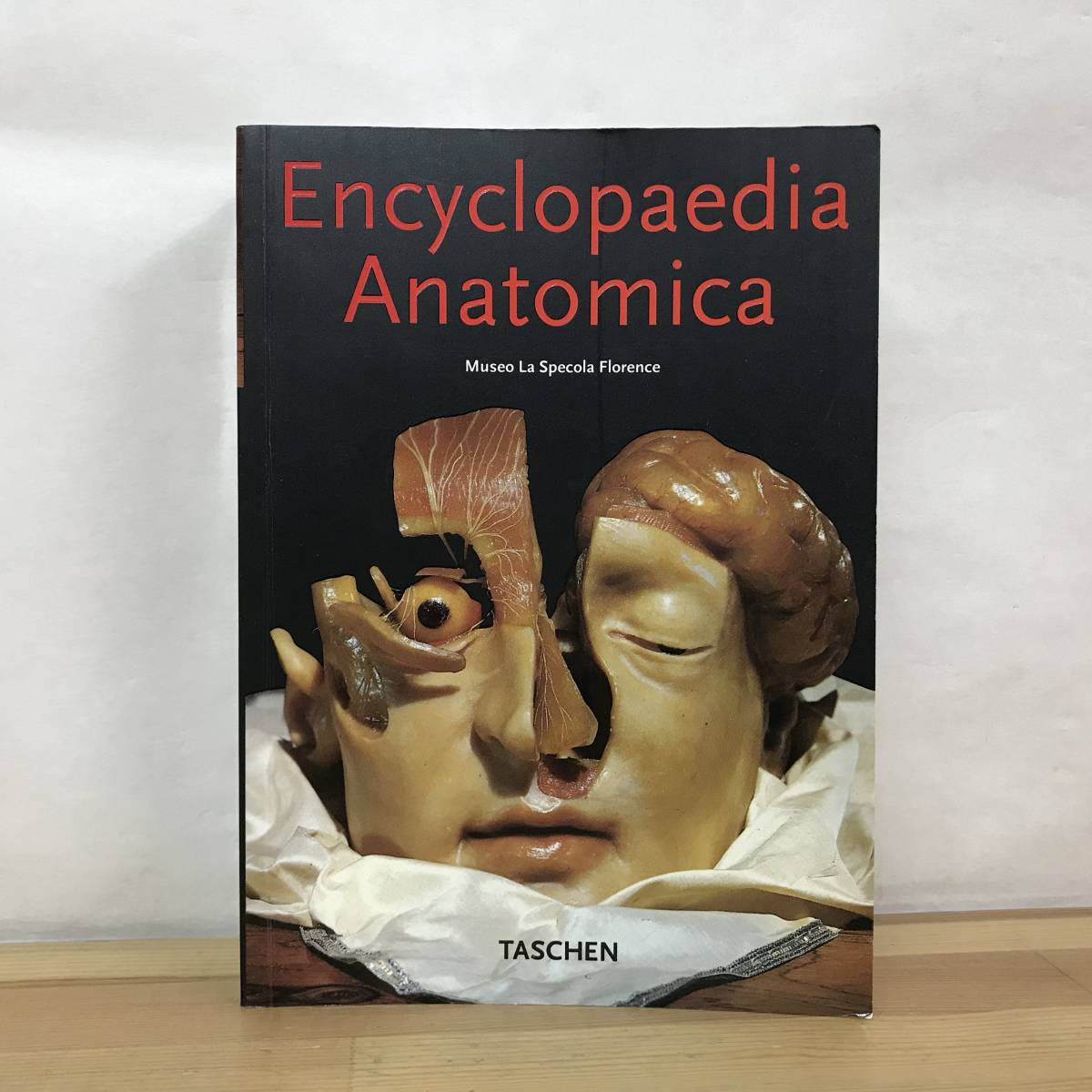 h11●スペゴラ博物館 人体解剖模型 Encyclopaedia Anatomica TASCHEN 洋書 人体解剖 人体模型 解剖学 臓器 胎児 美術 デッサン 医学 230817_画像1