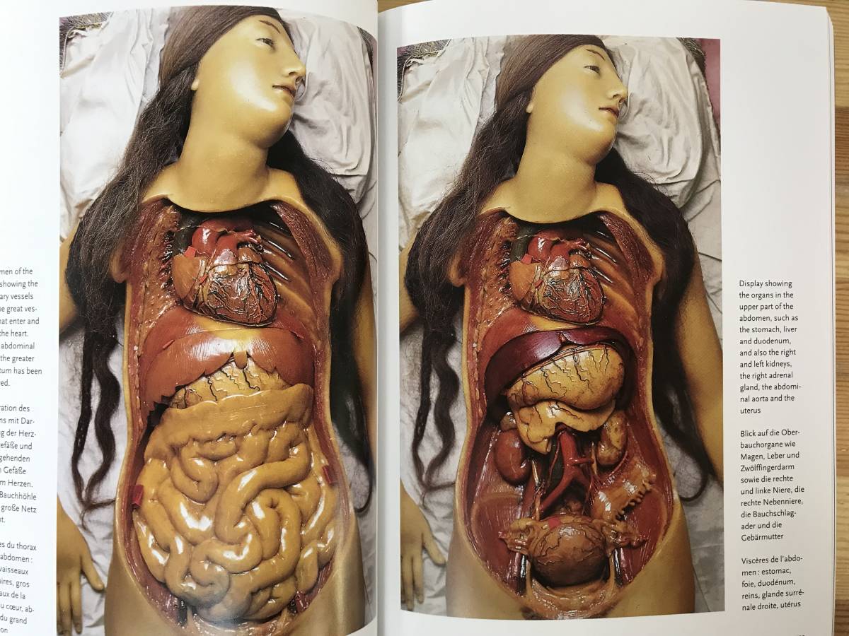 h11●スペゴラ博物館 人体解剖模型 Encyclopaedia Anatomica TASCHEN 洋書 人体解剖 人体模型 解剖学 臓器 胎児 美術 デッサン 医学 230817_画像7