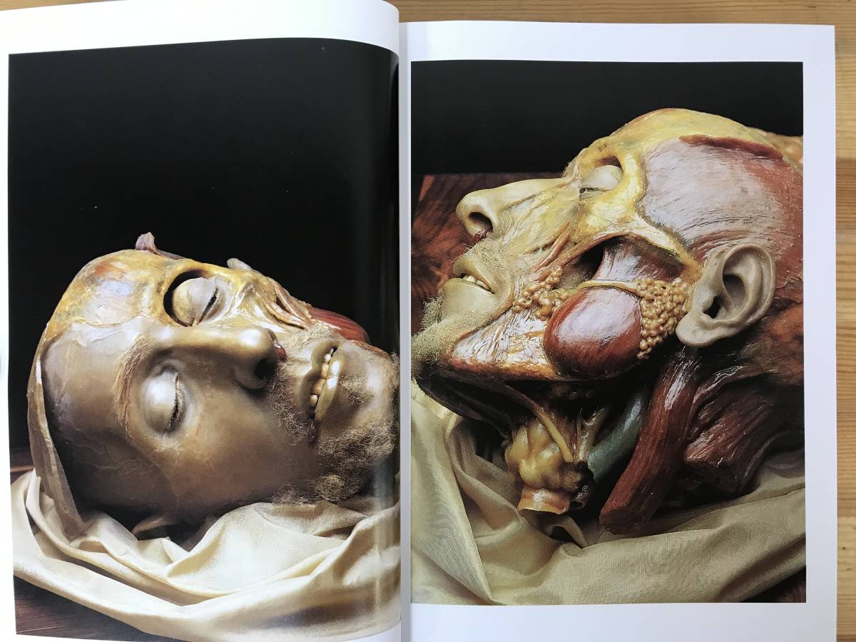 h11●スペゴラ博物館 人体解剖模型 Encyclopaedia Anatomica TASCHEN 洋書 人体解剖 人体模型 解剖学 臓器 胎児 美術 デッサン 医学 230817_画像6