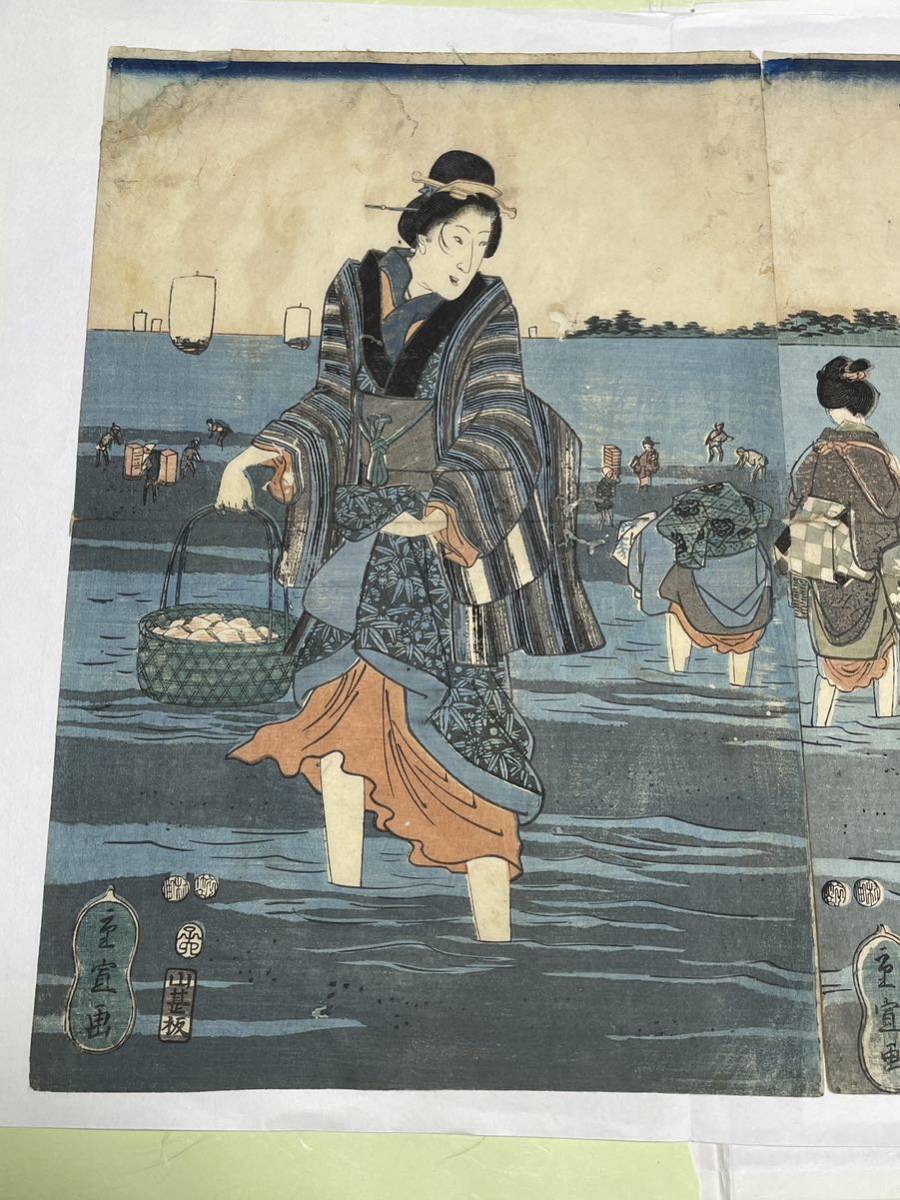  prompt decision! -ply .(2 fee wide -ply )/ beauty picture ukiyoe 3 sheets set ....( search = north . wide -ply country . woodblock print . country country . spring confidence country . britain Izumi . year .. old . goldfish cat cat )