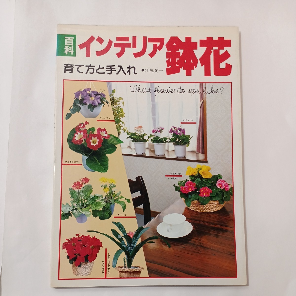 zaa-488♪百科インテリア鉢花 :育て方と手入れ　 江尻光一(著) ひかりのくに (1992/6/1)