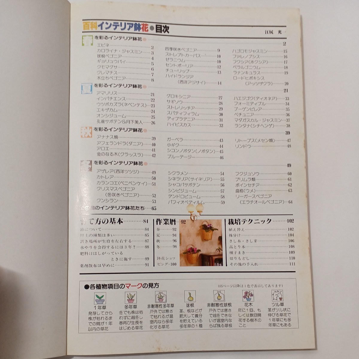 zaa-488♪百科インテリア鉢花 :育て方と手入れ　 江尻光一(著) ひかりのくに (1992/6/1)