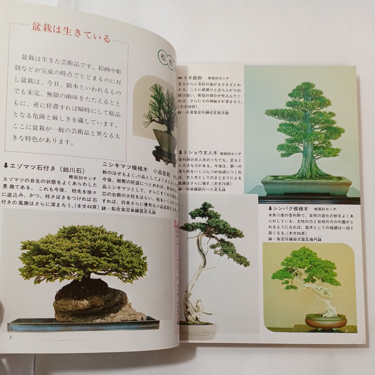 zaa-488♪盆栽の整姿と剪定―目でみる仕立てと樹形づくり 片山 貞一 (著) 永岡書店 (1980年) 