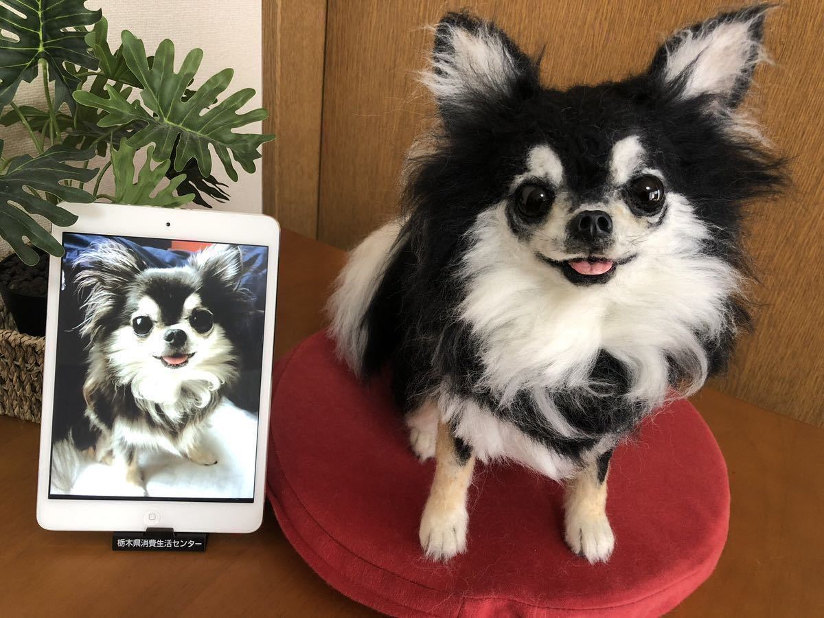 Yahoo!オークション - 羊毛フェルト 犬 愛犬のオーダー制作を Yahoo!オークション - 羊毛フェルト 犬 愛犬のオーダー制作を