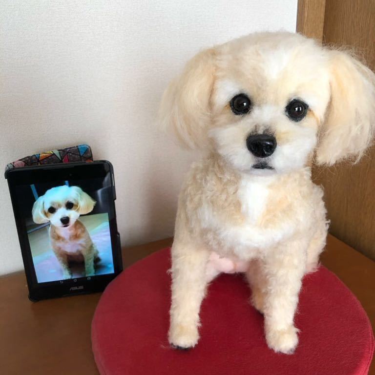 Yahoo!オークション - 羊毛フェルト 犬 愛犬のオーダー制作を Yahoo!オークション - 羊毛フェルト 犬 愛犬のオーダー制作を