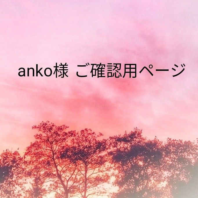 aanko様ご確認用ページです|Yahoo!フリマ(旧PayPayフリマ)