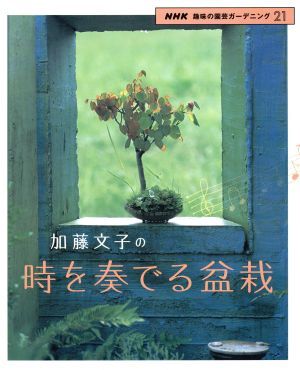  hobby. gardening Kato writing .. hour . play bonsai NHK hobby. gardening gardening 21| Kato writing .