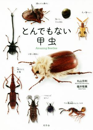 to. тоже нет . насекомое | Maruyama . выгода ( автор ), Fukui ..( автор )