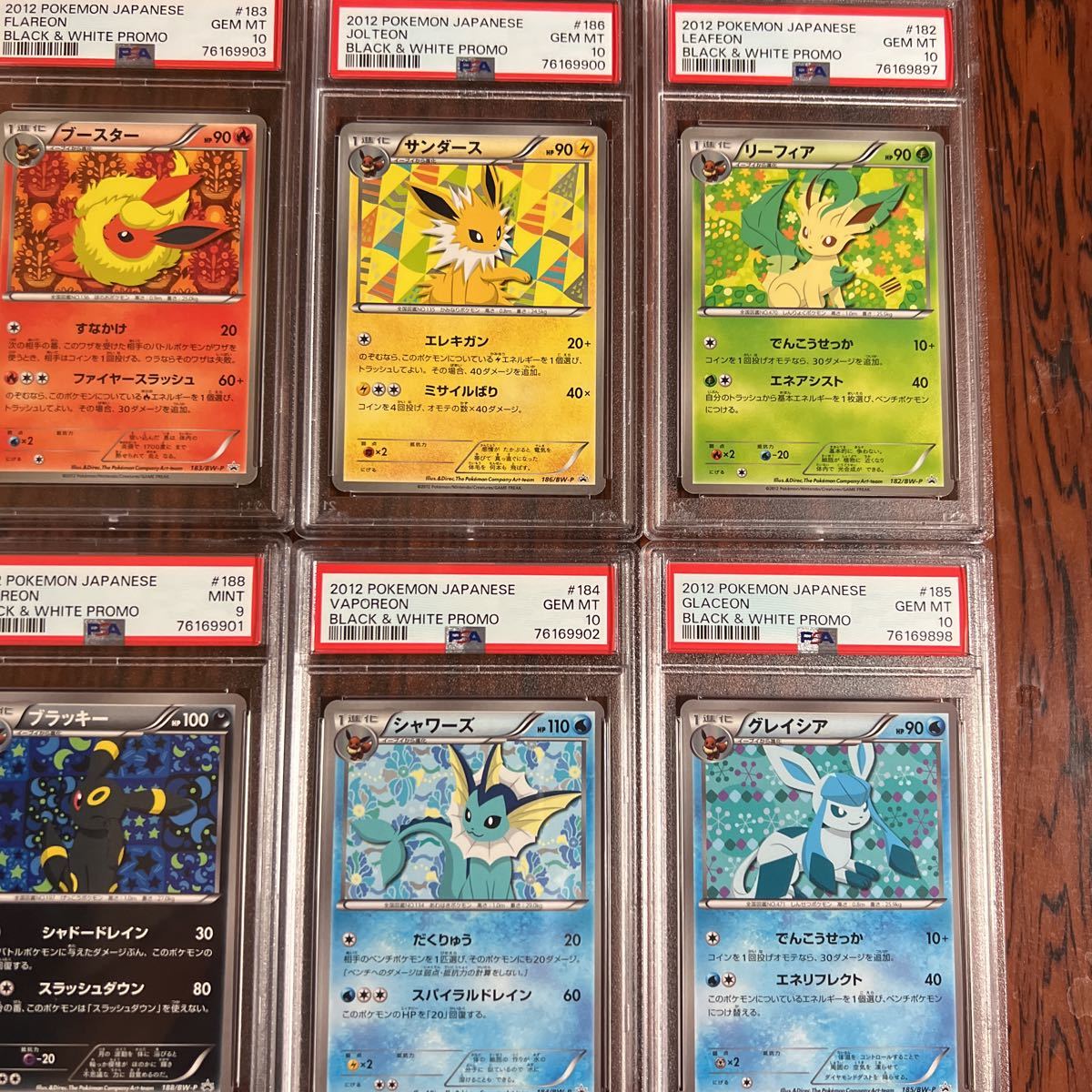 ポケモンカード psa10 psa9 イーブイコレクション ブラッキー