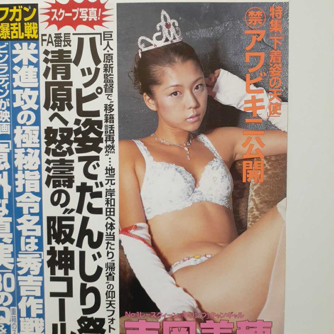 D8D Miho yoshioka Flash 2001 Средний висящий рекламный плакат B3 размер