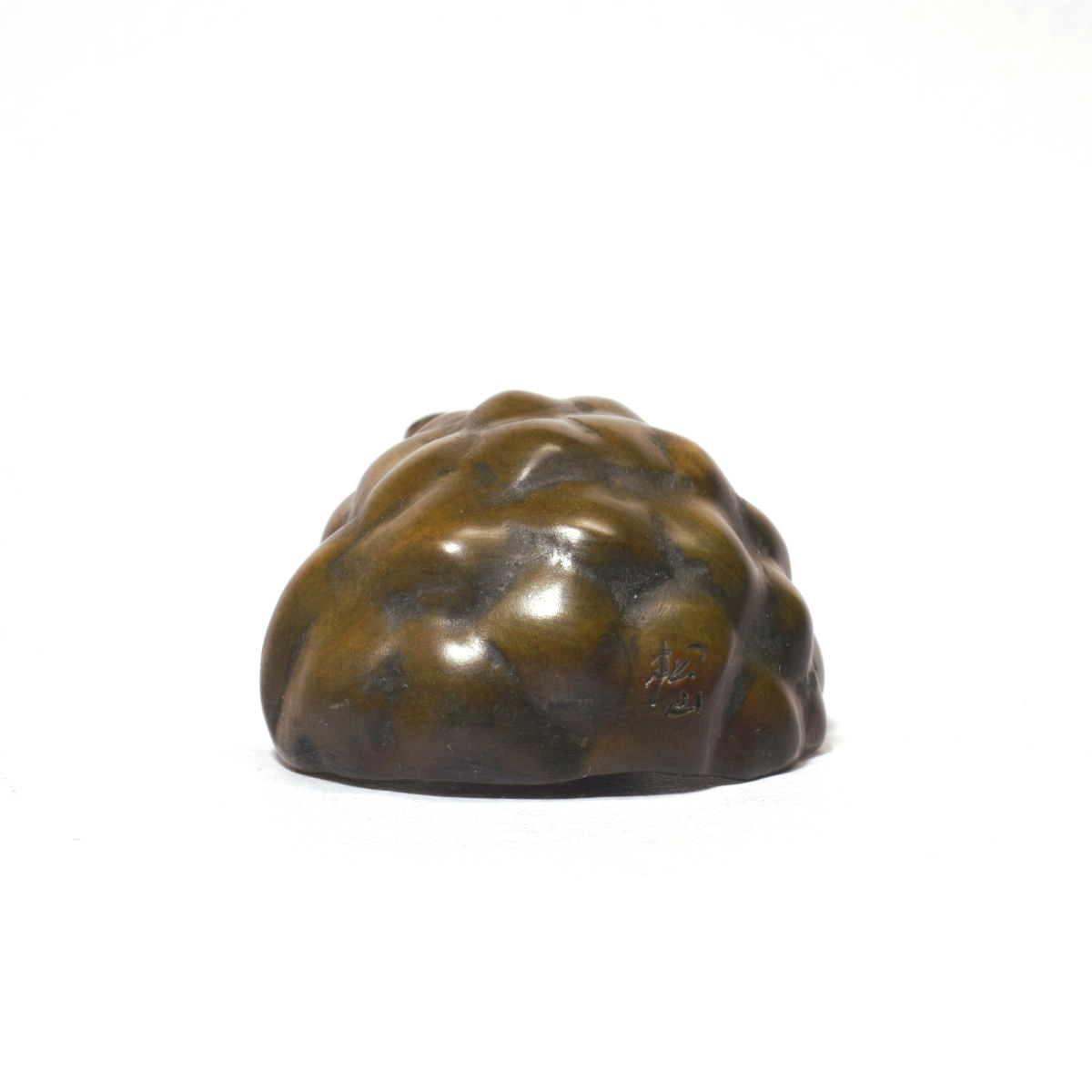  netsuke Самшит мелколистный . черепаха желтый . деликатный скульптура из дерева черепаха грибы [a26-13]