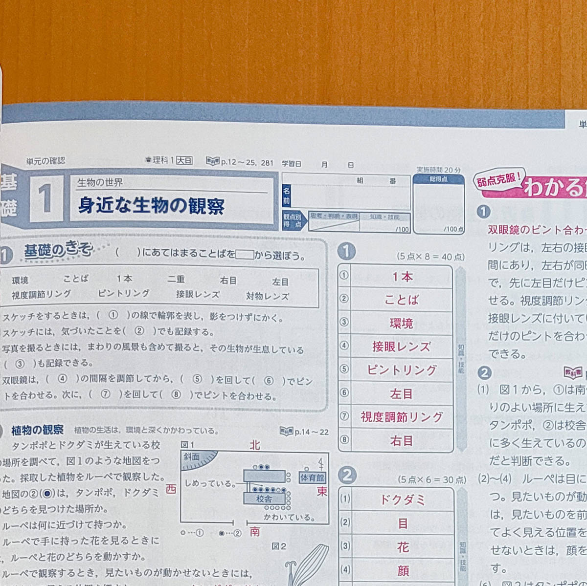 令和4年対応 新学習指導要領「単元の確認 20回 理科 1年 大日本図書版【教師用】」教育同人社 答え 解答 大日 大 観点別評価プリント.