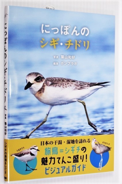 にっぽんのシギ・チドリ 旅鳥「シギチ」の知られざる魅力を凝縮!_実物より綺麗に写る場合があります