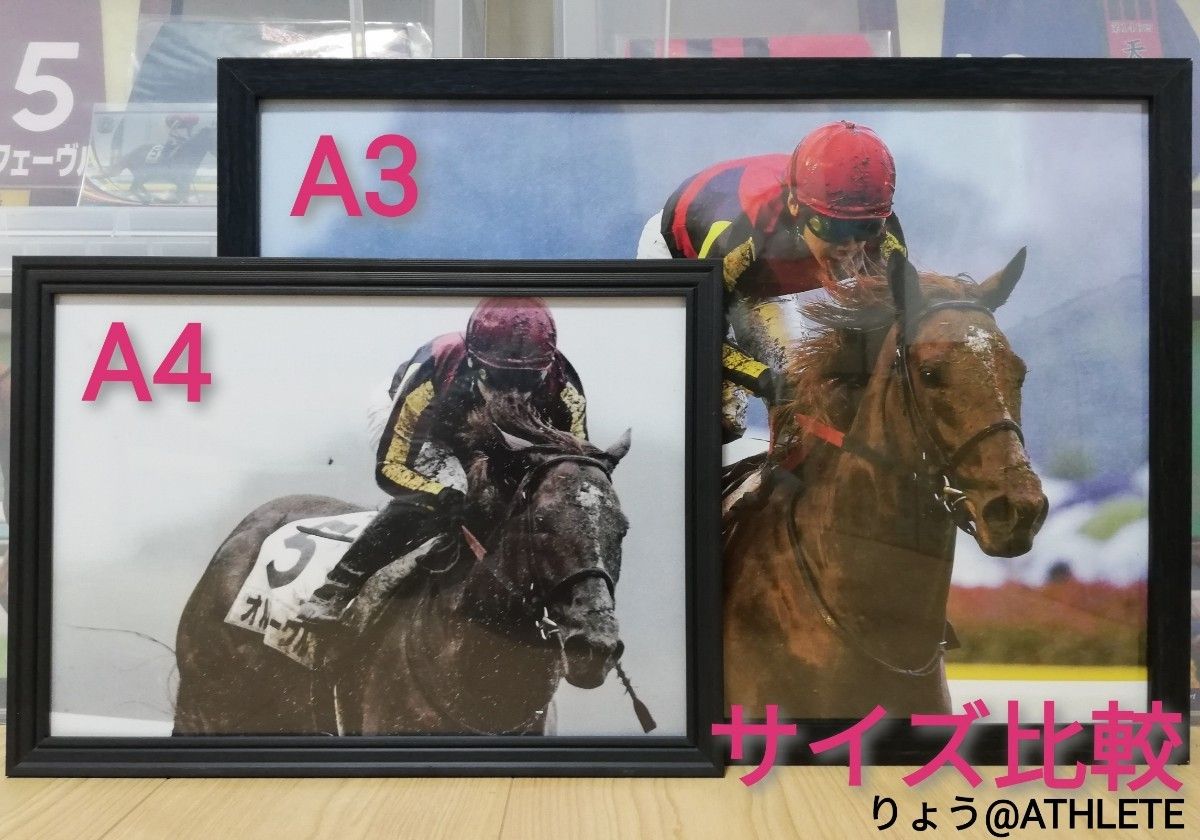 競馬.ブエナビスタ.パネル.勝馬.天皇賞(秋)