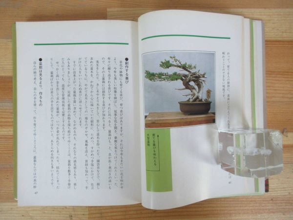 U05v Hokkaido. bonsai making person .. person . island . north sea time s company bonsai. history bonsai . pot thing. different bonsai for . basis . shape fertilizer for earth. combination 230804