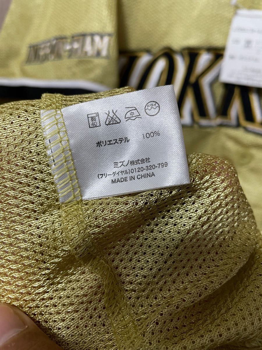 北海道日本ハムファイターズ WE LOVE HOKKAIDO 2010 北海道日本ハムファイターズ WE LOVE HOKKAIDO 2010