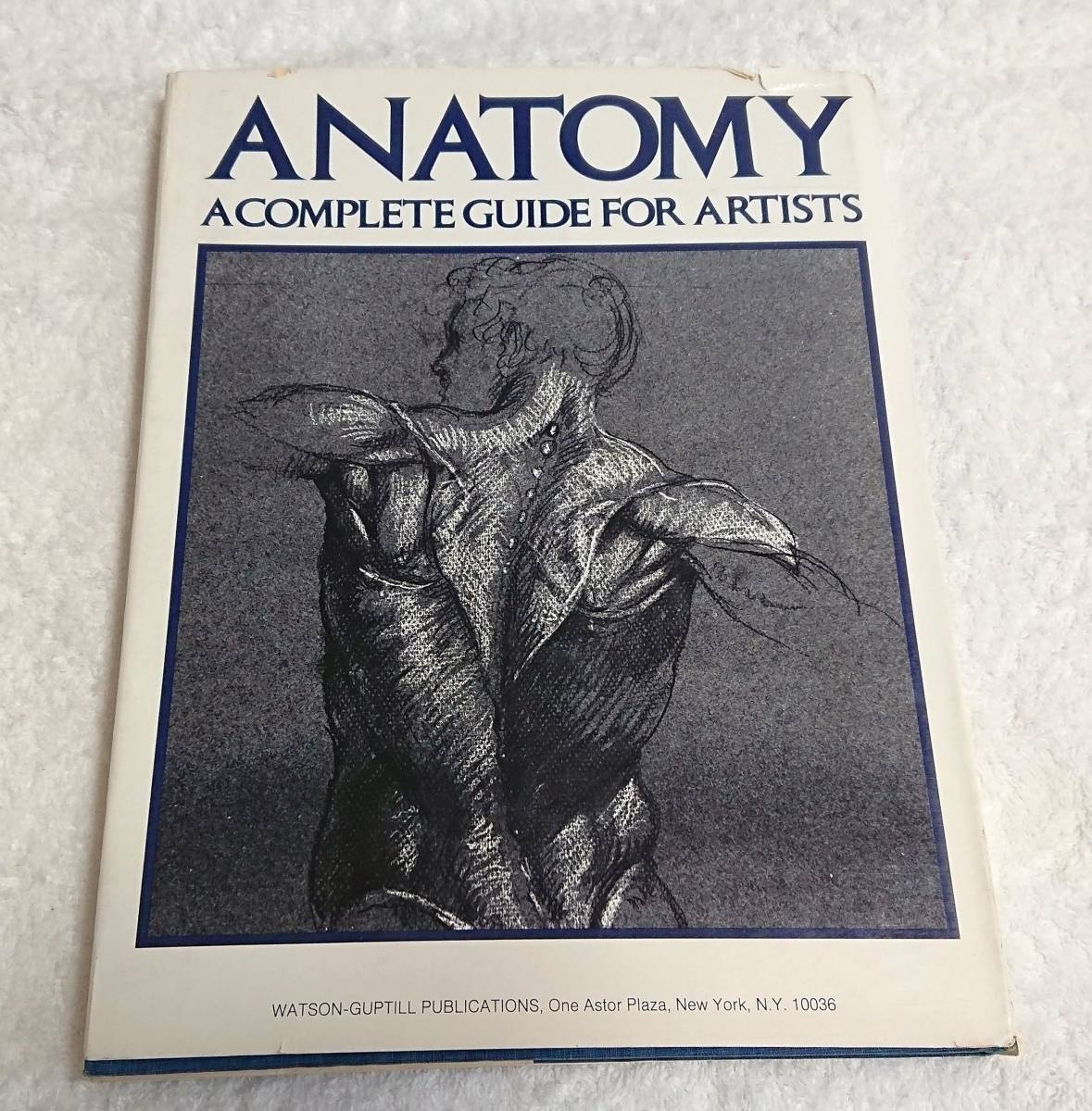 Anatomy A Complete Guide for Artists Joseph Sheppard WATSON GUPTILL ハードカバー 1975 デッサン 素描 ドローイング 解剖学 筋肉 骨格_画像9