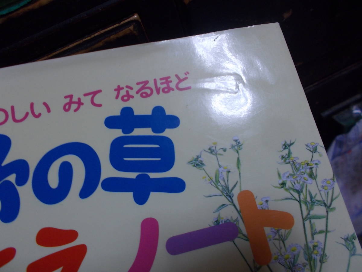 絵本　野の草 なまえノート　知ってたのしい　みてなるほど　いわさ ゆうこ作(2012年)送料116円　野の花ずかん_画像9