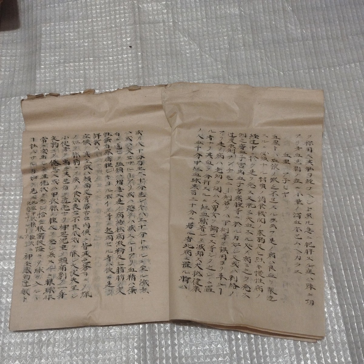 買い誠実 写本 単涅児氏内科書 巻一 タンネルホークス 薬学明治期 医学