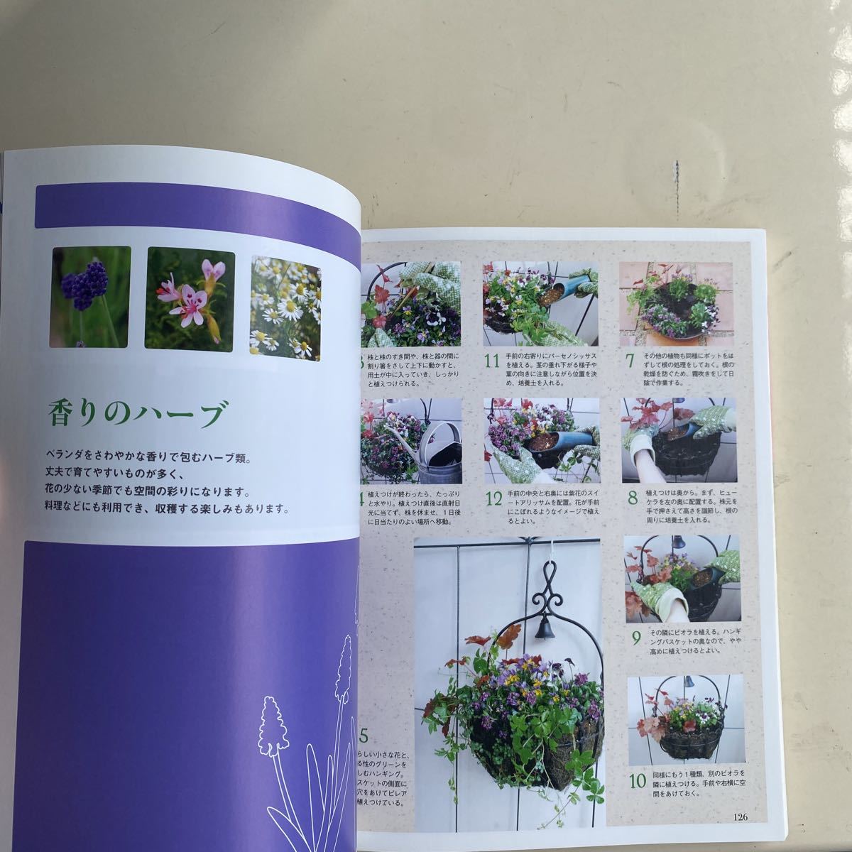 「ベランダで花づくり : 鉢植えやコンテナで楽しむ」_画像9