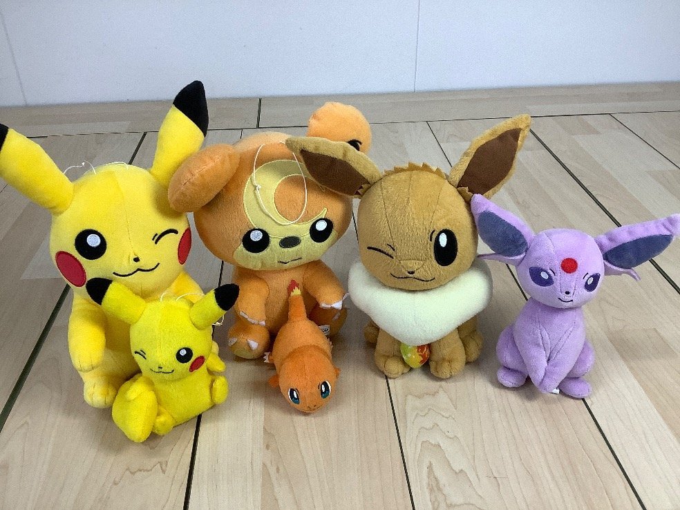 ポケモングッズ ポケモンセンター わくわくゲットくじ2013 C賞