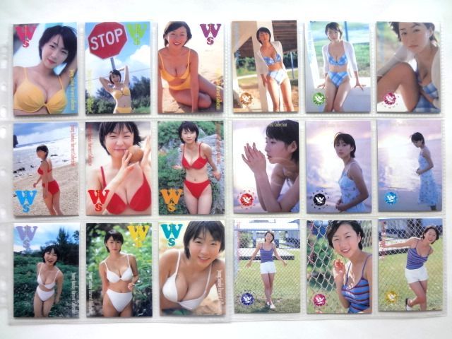 酒井若菜 トレカ レギュラー カード 81種 コンプ / Young Sunday Harvest Collection / 送料310円～_表1