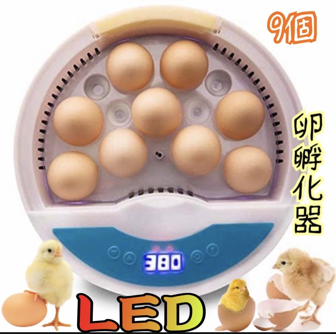 低価超激安】 ヤフオク! - ふか器 LED56孵化器 孵卵器 検卵機能付き 転