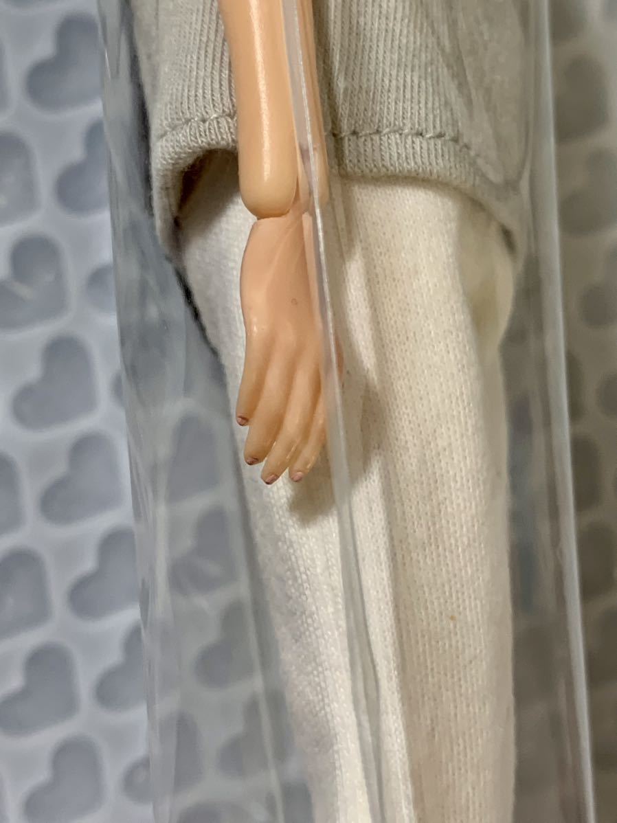 Today's momoko 23HB PLUS ONE 新品未開封 PetWorks ペット Today's momoko 23HB PLUS ONE 新品未開封 PetWorks ペット