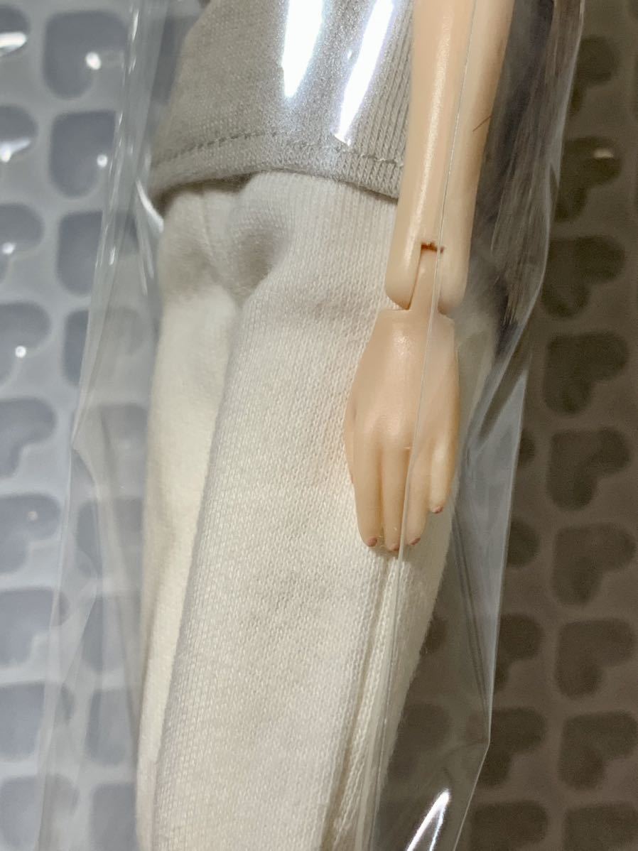 Today's momoko 23HB PLUS ONE 新品未開封 PetWorks ペット Today's momoko 23HB PLUS ONE 新品未開封 PetWorks ペット