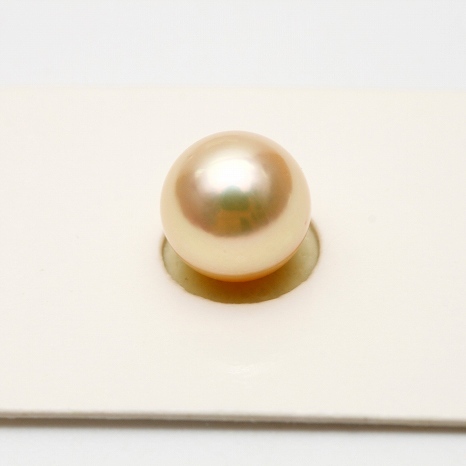 高級ブランド アコヤ真珠パールルース 9.5-10.0mm 無調色 ゴールド 