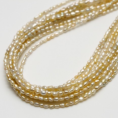 アコヤ真珠パール10連ネックレス　ケシ　2.0-3.0mm　ナチュラルゴールドカラー