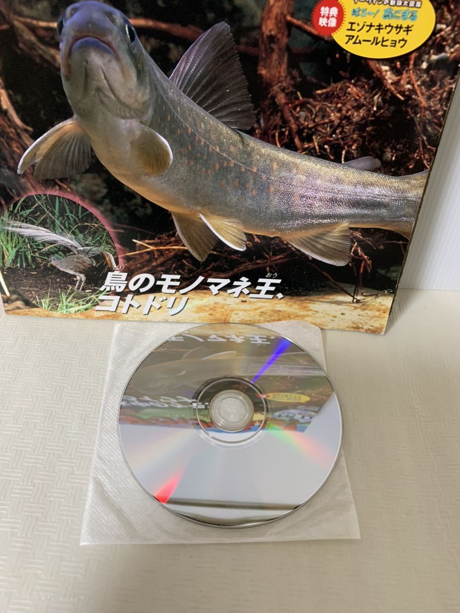 ダーウィンが来た!生きもの新伝説DVDブック3冊セット/NO25～NO27/イワナコククジラアフリカゾウ/DVD25.27未開封/中古本/部品取り小傷汚れ等の画像7