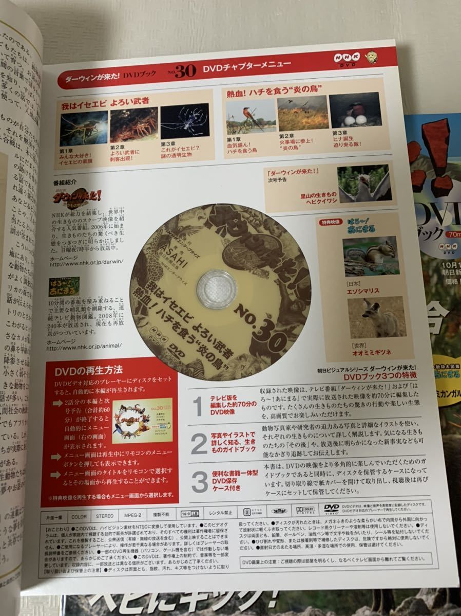 ダーウィンが来た!生きもの新伝説DVDブック4冊セット/NO28～NO31/リスヤマネコワシイセエビ等/中古本/DVD未開、開封有/部品取り/小傷汚れ等_画像5