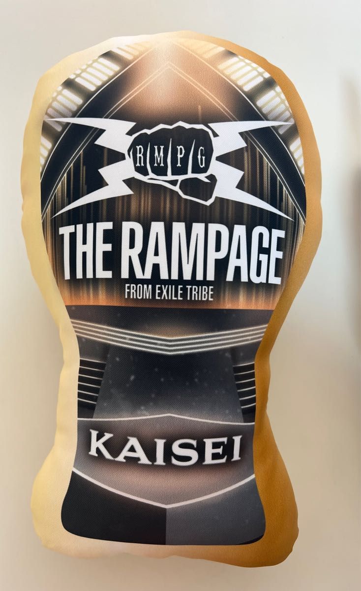 THE RAMPAGE 武知海青 クッション