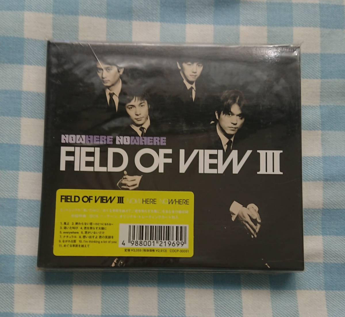 激レア&入手困難マニアックCD：FIELD OF VIEW【FIELD OF VIEW Ⅲ】_画像1