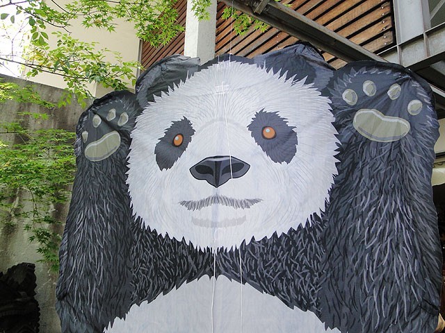  animal ... empty ...! Sky Zoo Panda 2D kite american miscellaneous goods America miscellaneous goods 